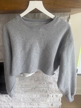 Women Cropped Gray Crewneck Sweatshirt